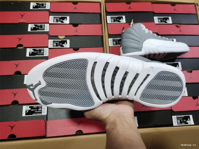 Retro 12 Stealth Jordan CT8013-015 0209